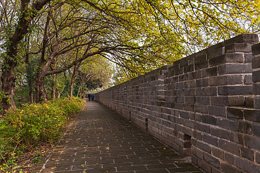 秋季晴日里的荆州古城墙风景