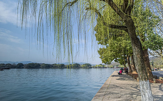 西湖美景