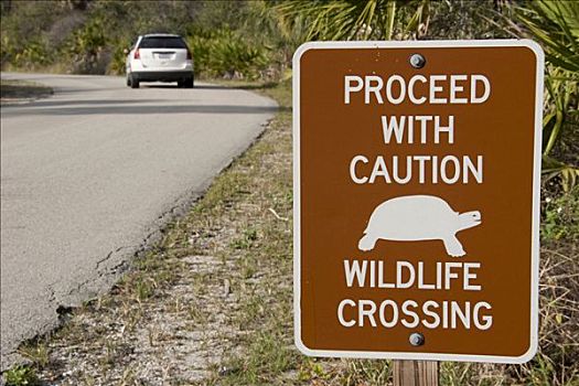 交通标志,野生动物,州立公园,佛罗里达,美国