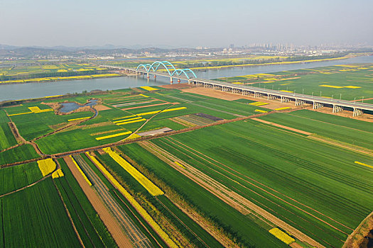 淮河,田园