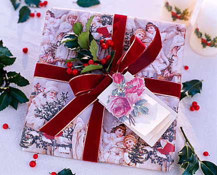 圣诞礼物,红色,蝴蝶结,冬青属,乔木
