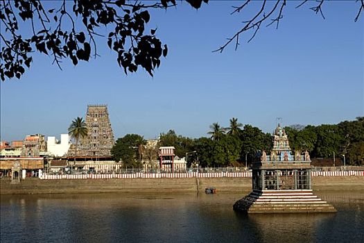 庙宇,中间,水塘,钦奈,泰米尔纳德邦,印度