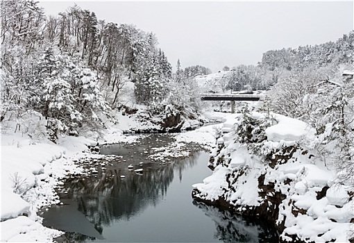 日本,冬天