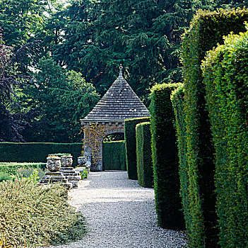 树篱,围绕,花园,城堡