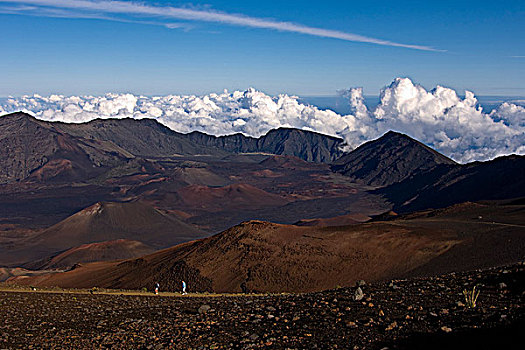 游人,火山,毛伊岛,夏威夷,美国