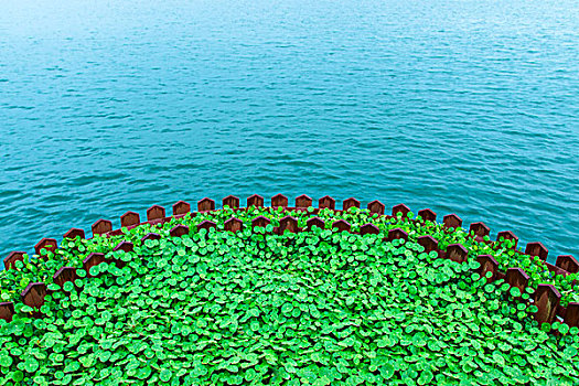 湖边绿叶