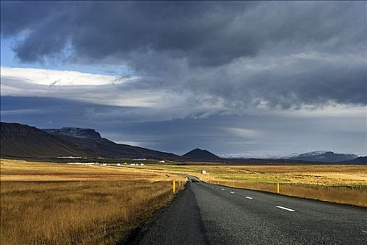 道路,风景,斯奈山半岛,冰岛