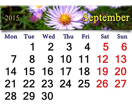 日程,七月,花,紫苑属