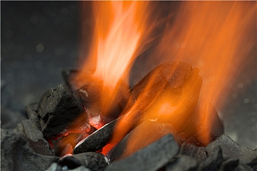 燃烧,木碳