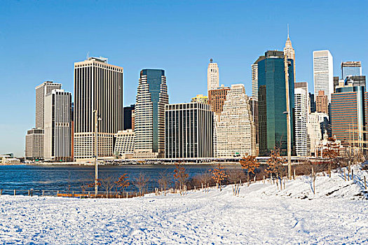 纽约,天际线,雪,公园