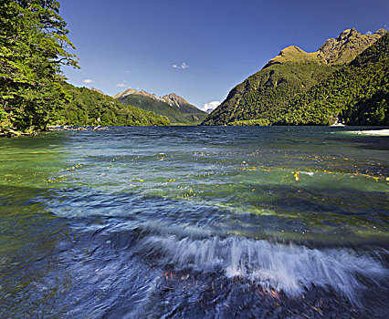 湖,波浪,峡湾国家公园,南部地区,南岛,新西兰