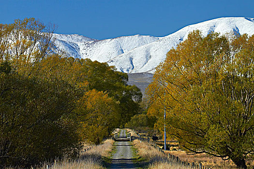 奥塔哥,中心,轨道,小路,山谷,雪,南岛,新西兰