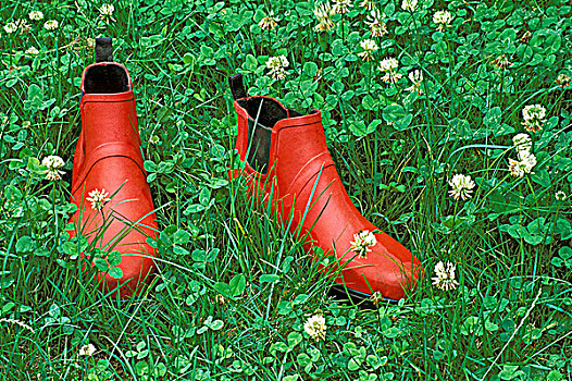 红色,橡胶,花园,靴子