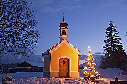 圣诞树,正面,小教堂,玛丽亚,靠近,上巴伐利亚,巴伐利亚,德国