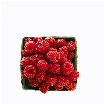 容器,树莓
