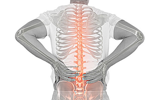 数码合成,突显,脊椎,男人,背痛,白色背景