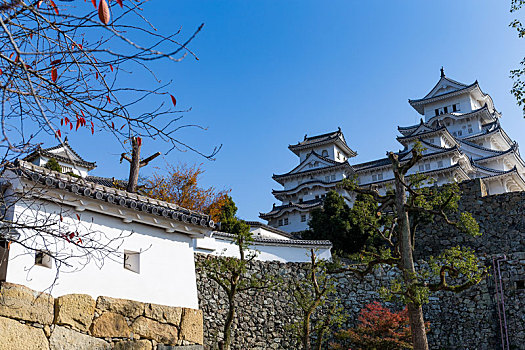 日本,著名,姬路城堡