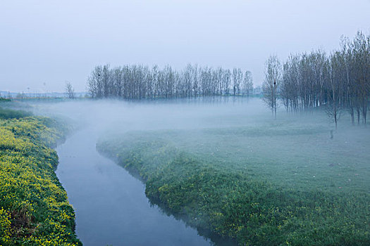 河边晨雾