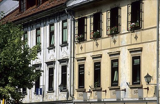 建筑,历史,房子,区域,斯洛文尼亚