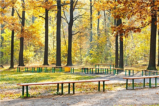 花园,长椅,城市公园,秋天