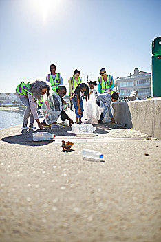志愿者,挑选,向上,塑料制品,垃圾,晴朗,木板路