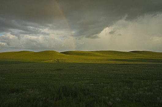 草地,靠近,内蒙古,中国