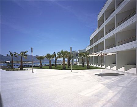 酒店,棕榈海滩,特写,户外,石板路