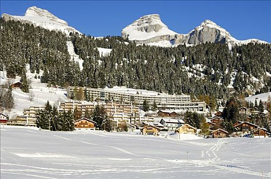 雪,胜地,顶峰,旅游,沃州,瑞士