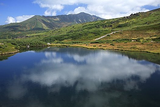 山,沼泽,国家公园