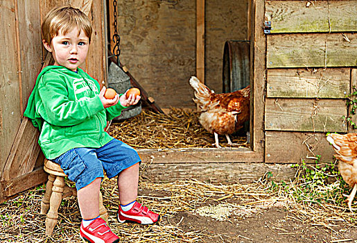 男孩,坐,户外,鸡肉,栏舍,拿着,蛋
