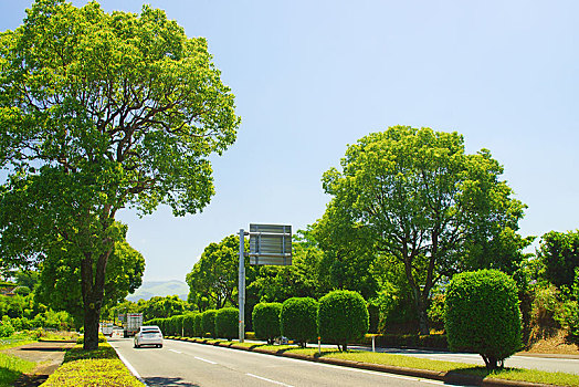 熊本,道路,路线,航空公司