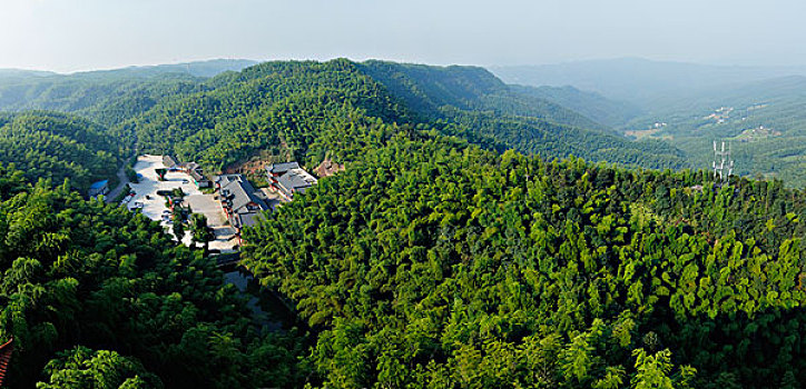 清晨,鸟瞰全是竹子的青山,多张远景电脑合成