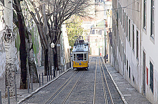举起,有轨电车,陡峭,山,里斯本,葡萄牙