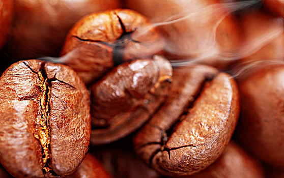 咖啡豆,特写,咖啡,烤制