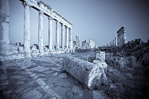 叙利亚,阿帕米亚,遗迹,公元前3世纪,罗马,柱廊,主要街道