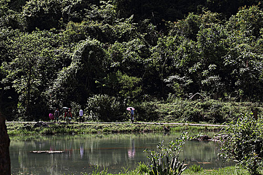 荔波美景