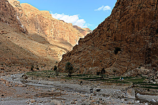 峡谷,陶达,托德峡,阿特拉斯山脉,靠近,南方,摩洛哥,北非,非洲