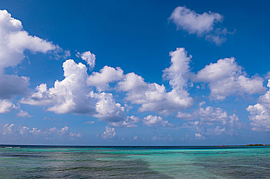 水,地平线,天空,海滩,阿鲁巴,小安的列斯群岛,加勒比