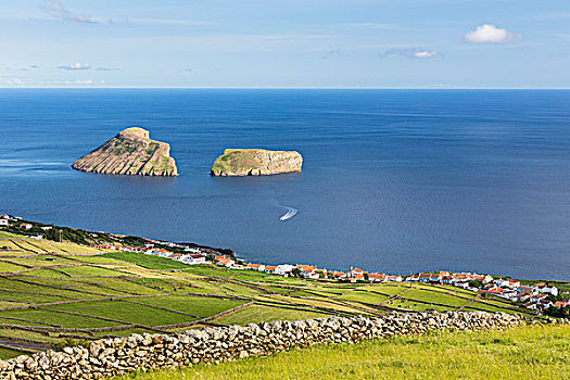 農田,火山巖,石墻,正面,風景,島嶼,亞速爾群島,葡萄牙