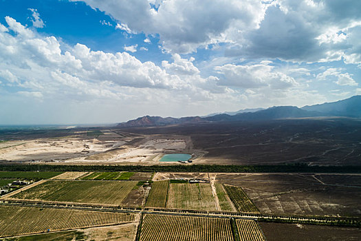 贺兰,山东