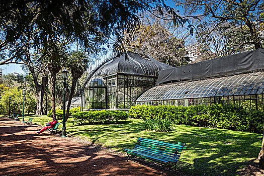 温室,植物园,布宜诺斯艾利斯,阿根廷