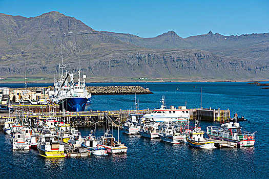 港口,东方,区域,冰岛,欧洲