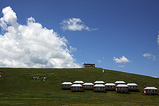 甘南,唐克,小镇,山黄河,九曲黄河,旅游区,若尔盖草原