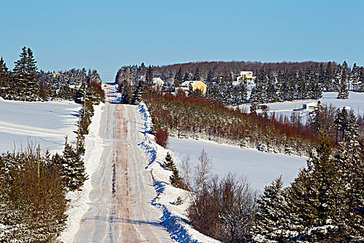 积雪,道路,爱德华王子岛,加拿大