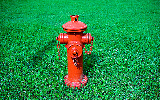 红色,消防栓,绿色