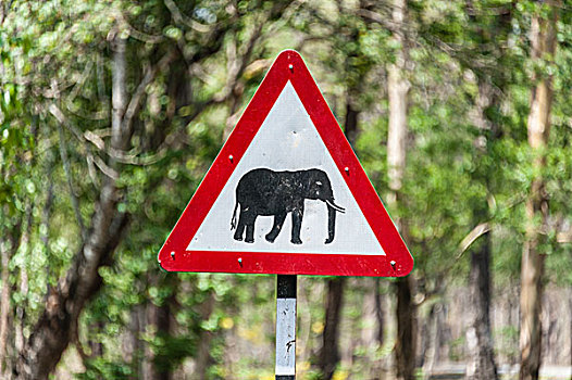 交通标志,警告,穿过,大象,国家公园,印度,亚洲
