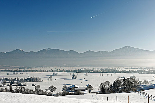 冬天,洛伊萨赫河,荒野,靠近,阿尔卑斯山,上巴伐利亚,巴伐利亚,德国,欧洲