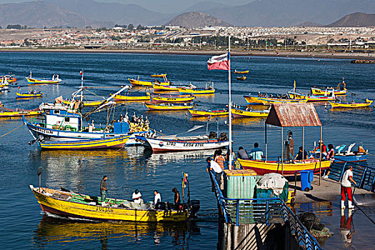 智利,港口