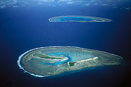 礁石,女士,岛屿,多,大堡礁,昆士兰,澳大利亚