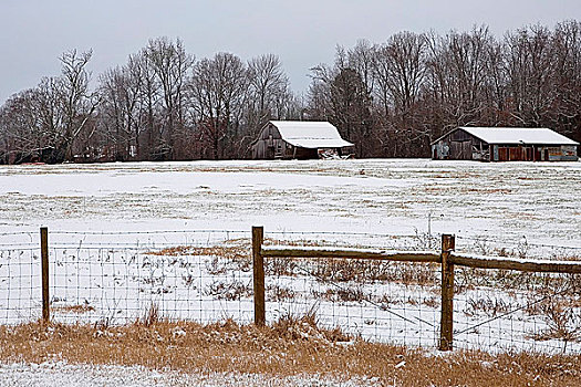 雪地,两个,谷仓,背景,阿肯色州,美国